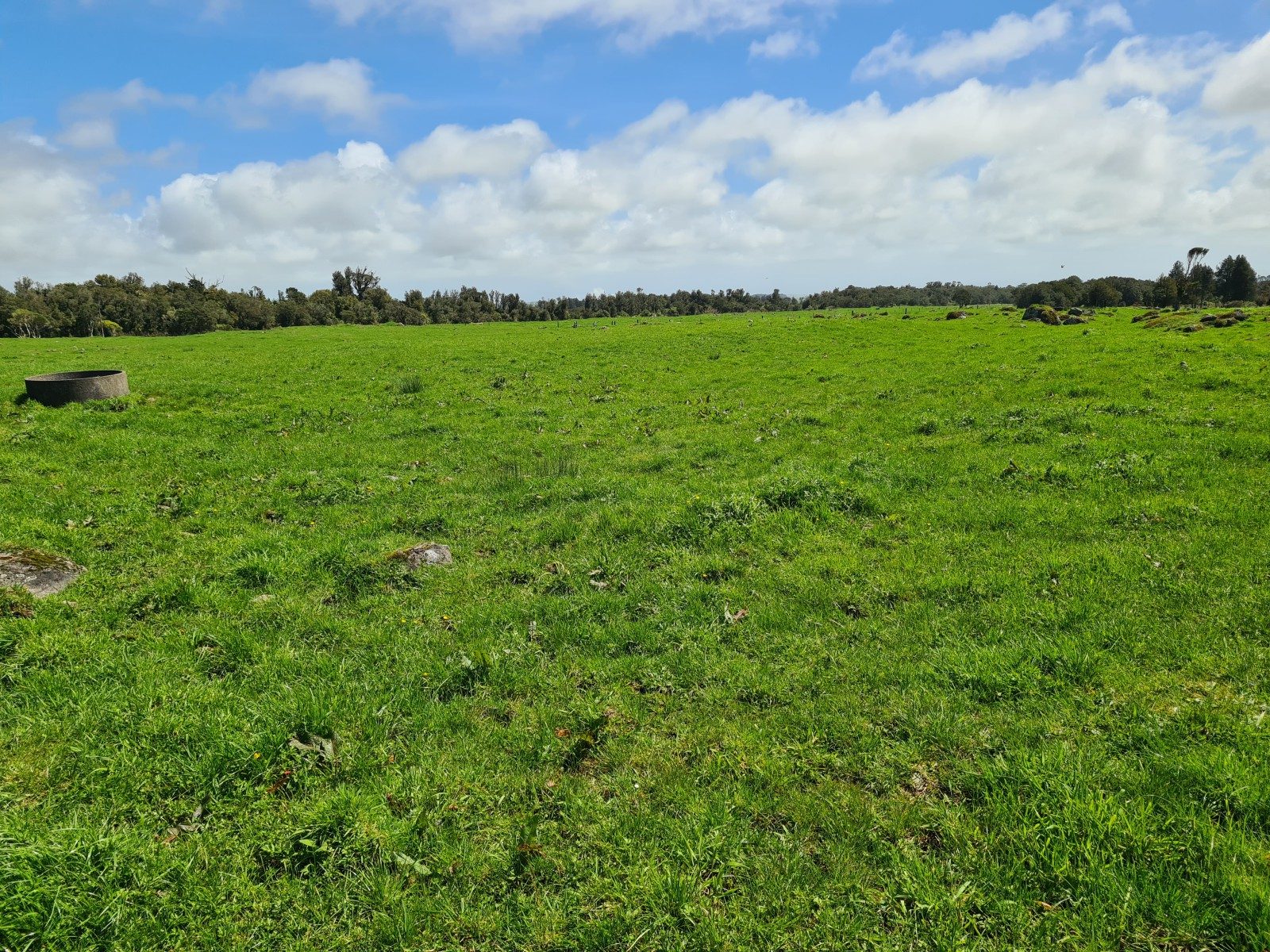 Scale and Potential on Carrington Road — slide 30
