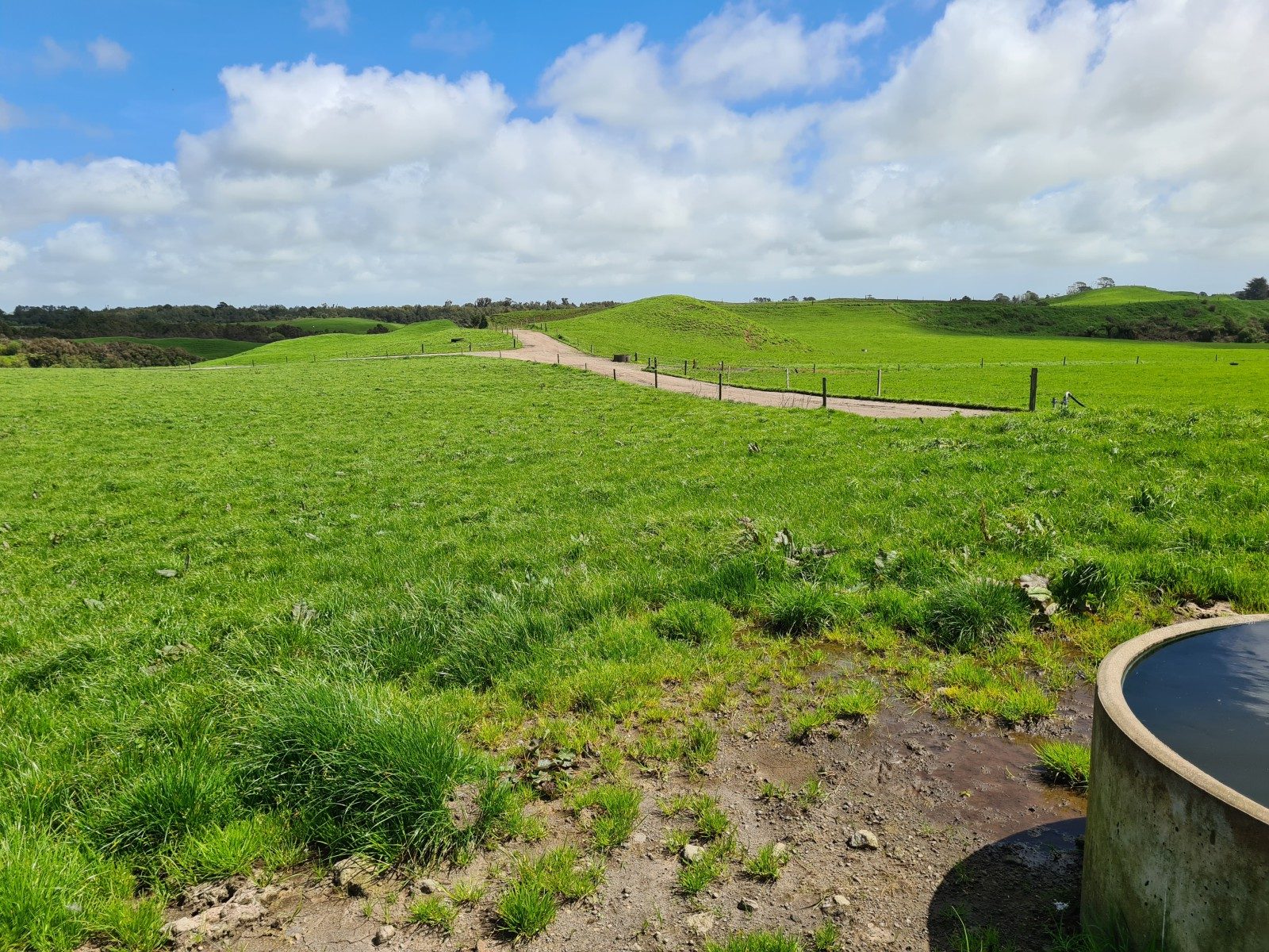 Scale and Potential on Carrington Road — slide 32
