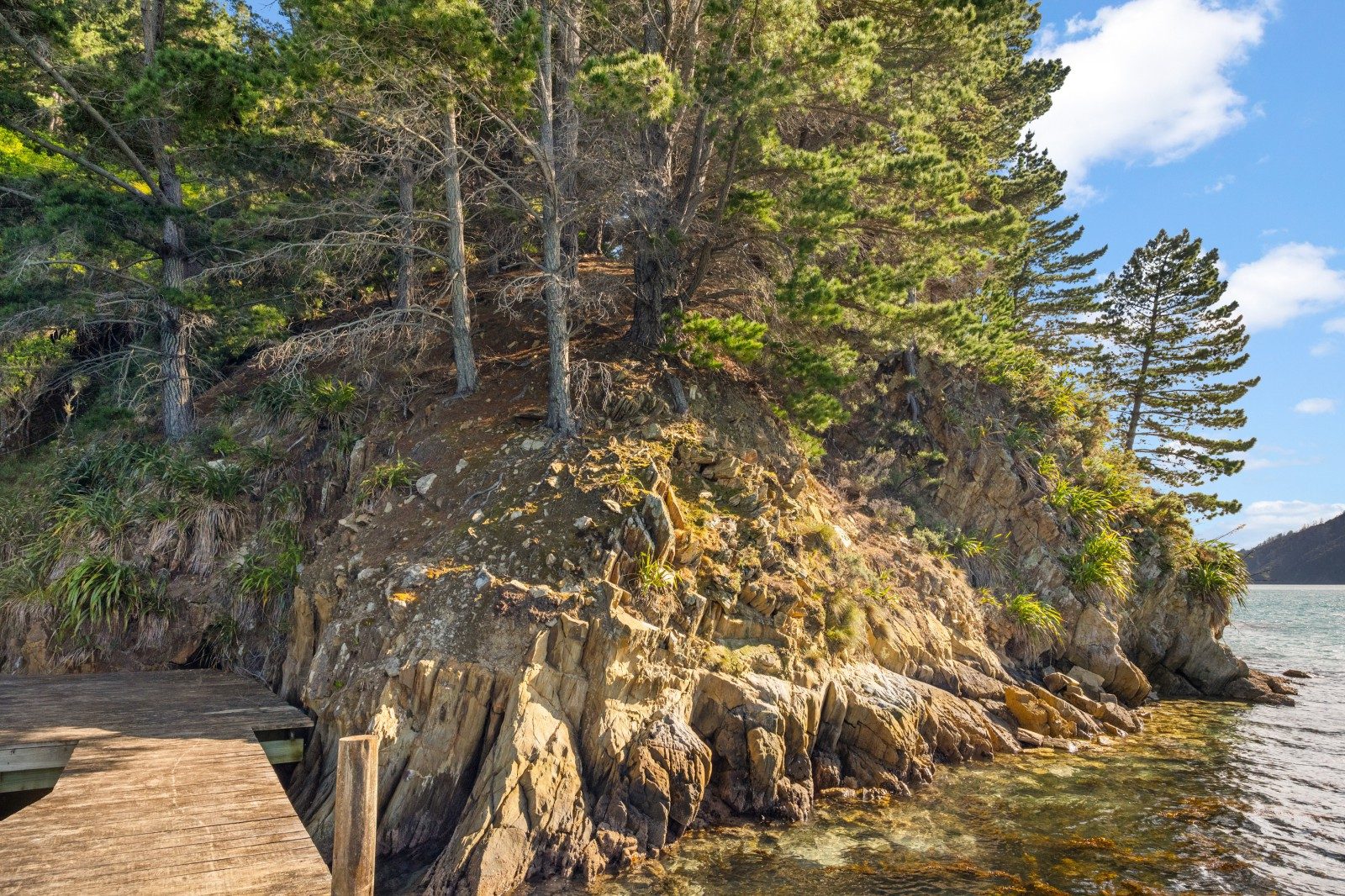 Where waterfront dreams meet Maraetai magic — slide 18