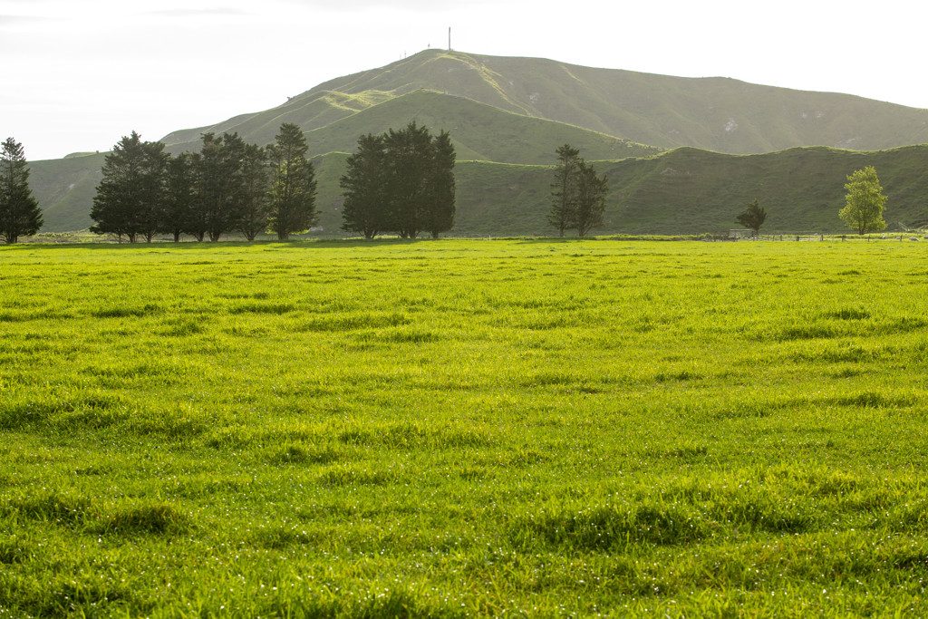 Rural development with large water consent — slide 2