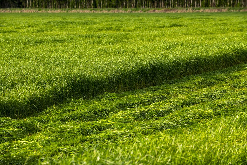 Rural development with large water consent — slide 16