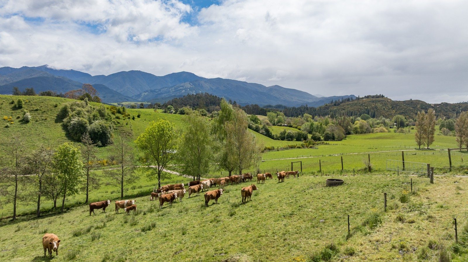 Productive farm land with two dwellings — slide 2