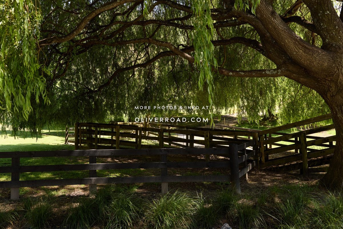 The Willows — slide 13