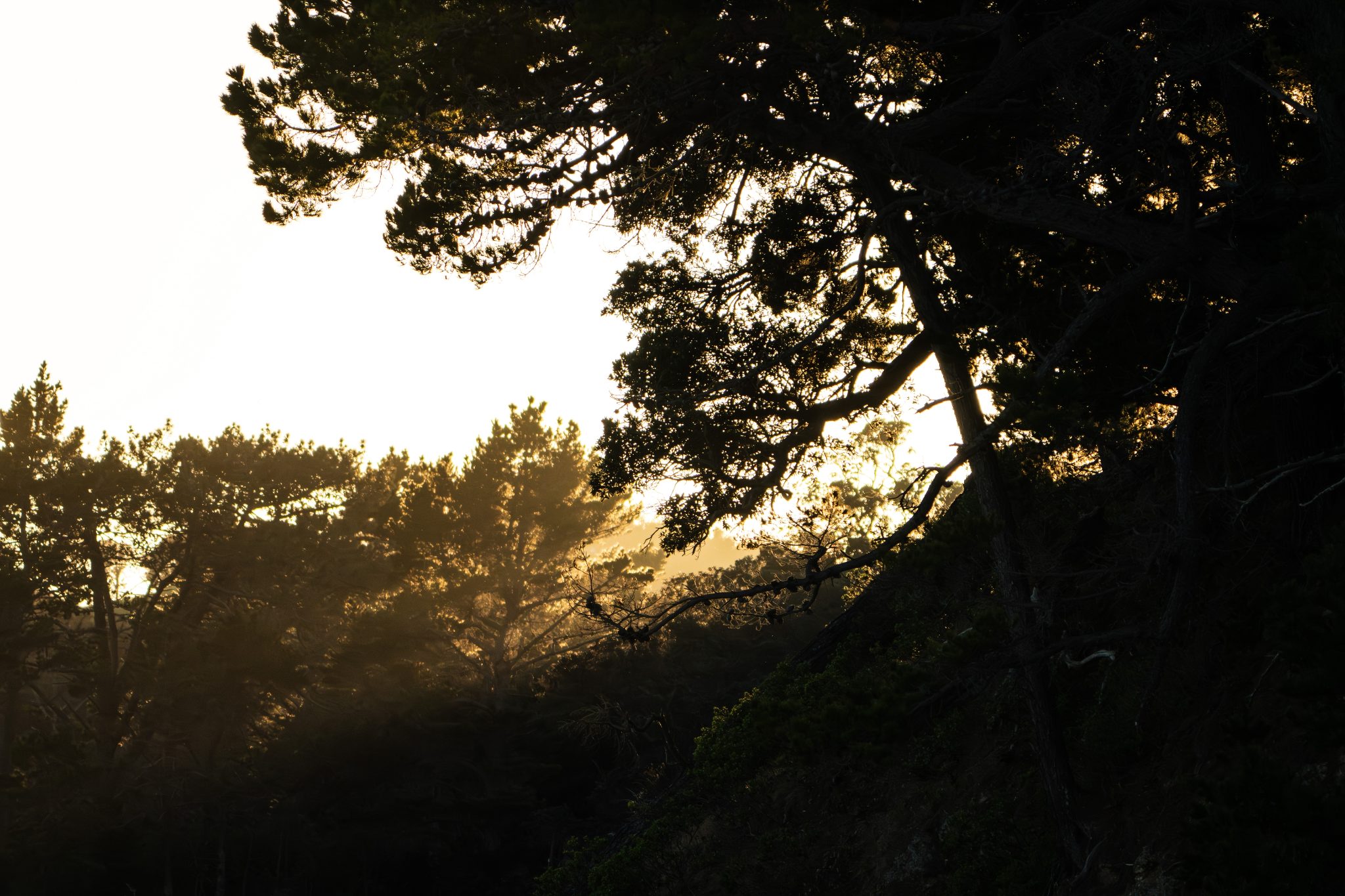 Your Family’s Next Hundred Years Begin Here — slide 36