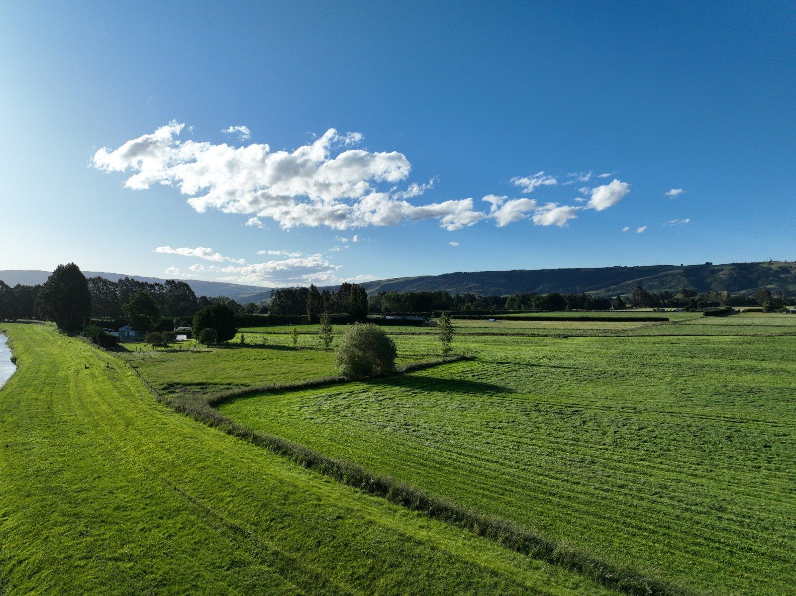Taieri at Its Best — slide 17