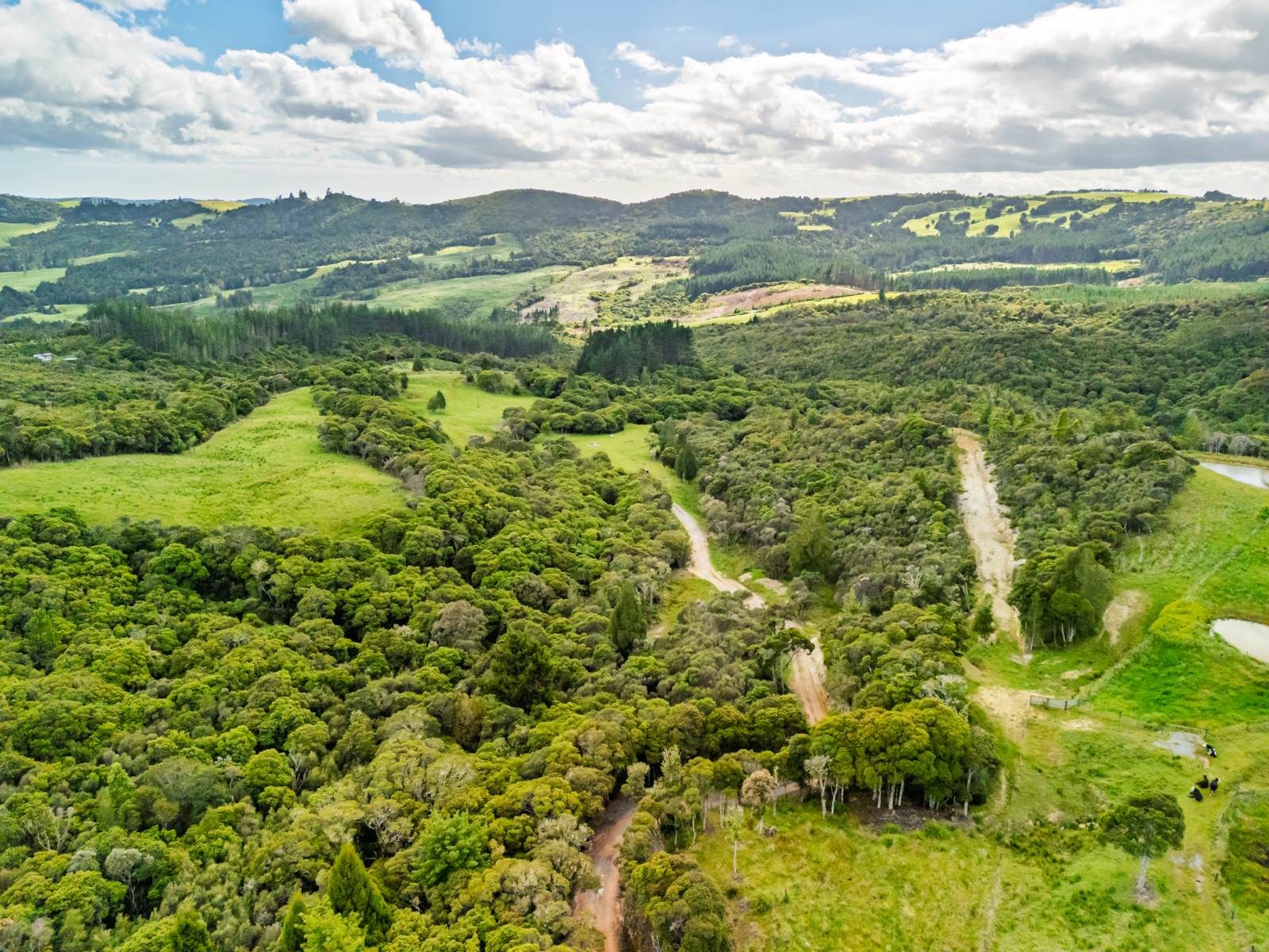 Beautiful Lifestyle Lot 20 Minutes From Kerikeri — slide 2