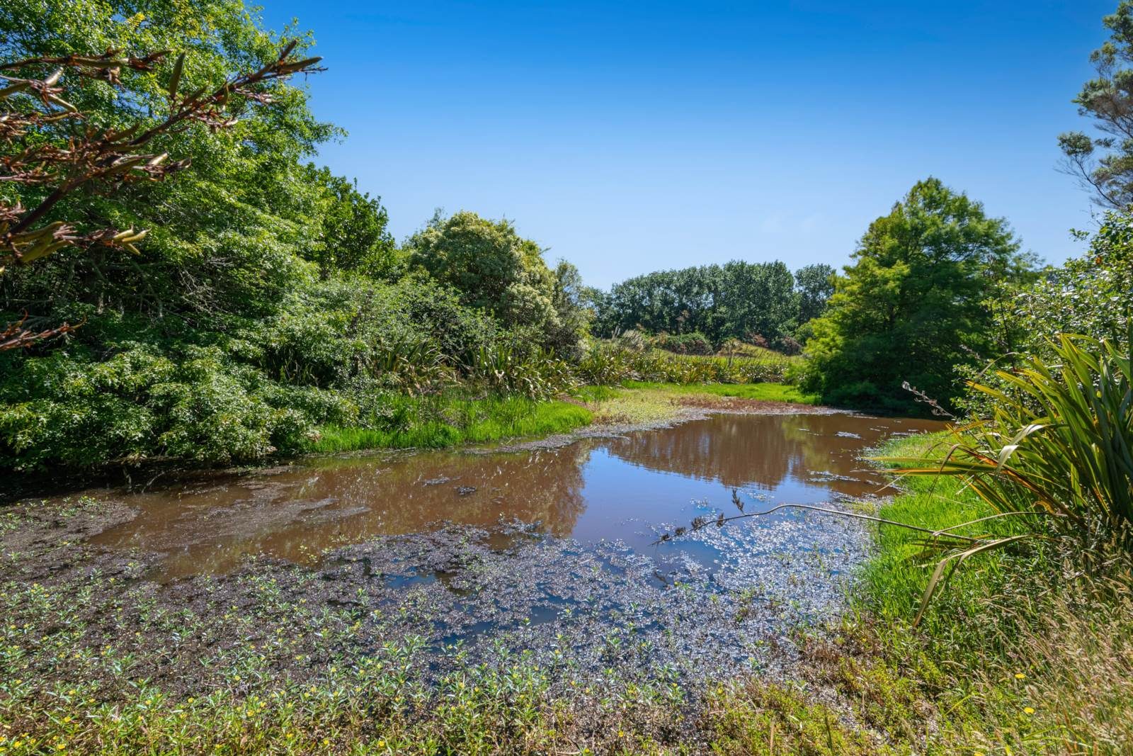 A Rare Lifestyle Sanctuary — slide 22