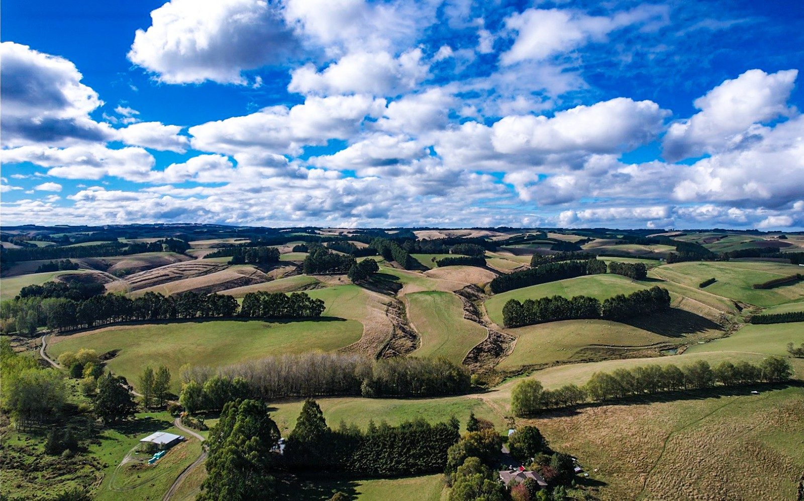 Strathdon Farm — slide 1
