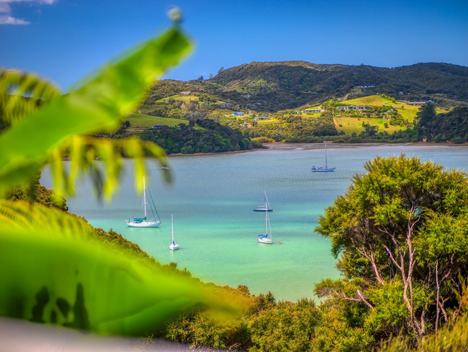 A pocket of coastal paradise — slide 1