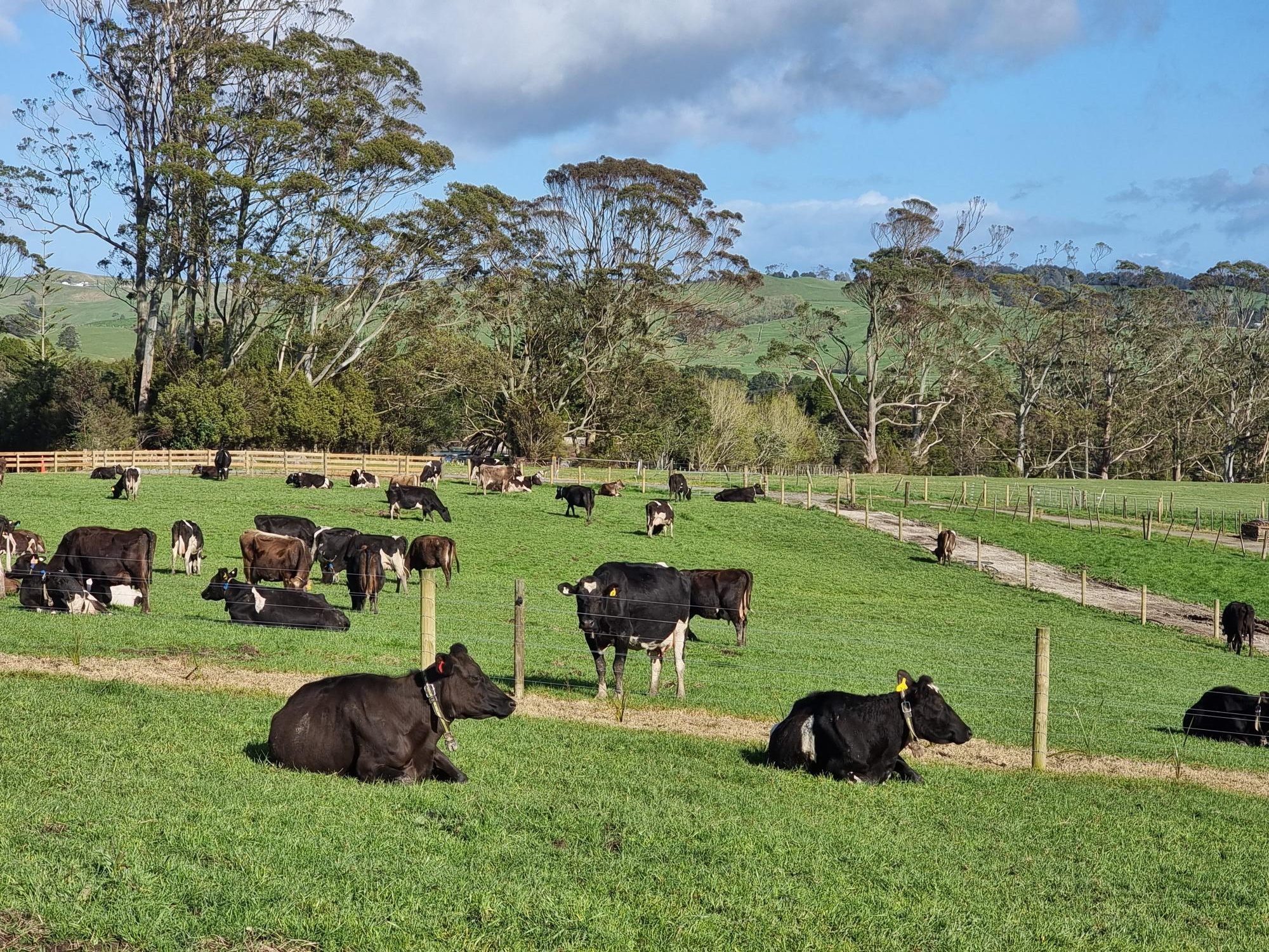 Lifestyle blocks Waipu - Taipuha — slide 2