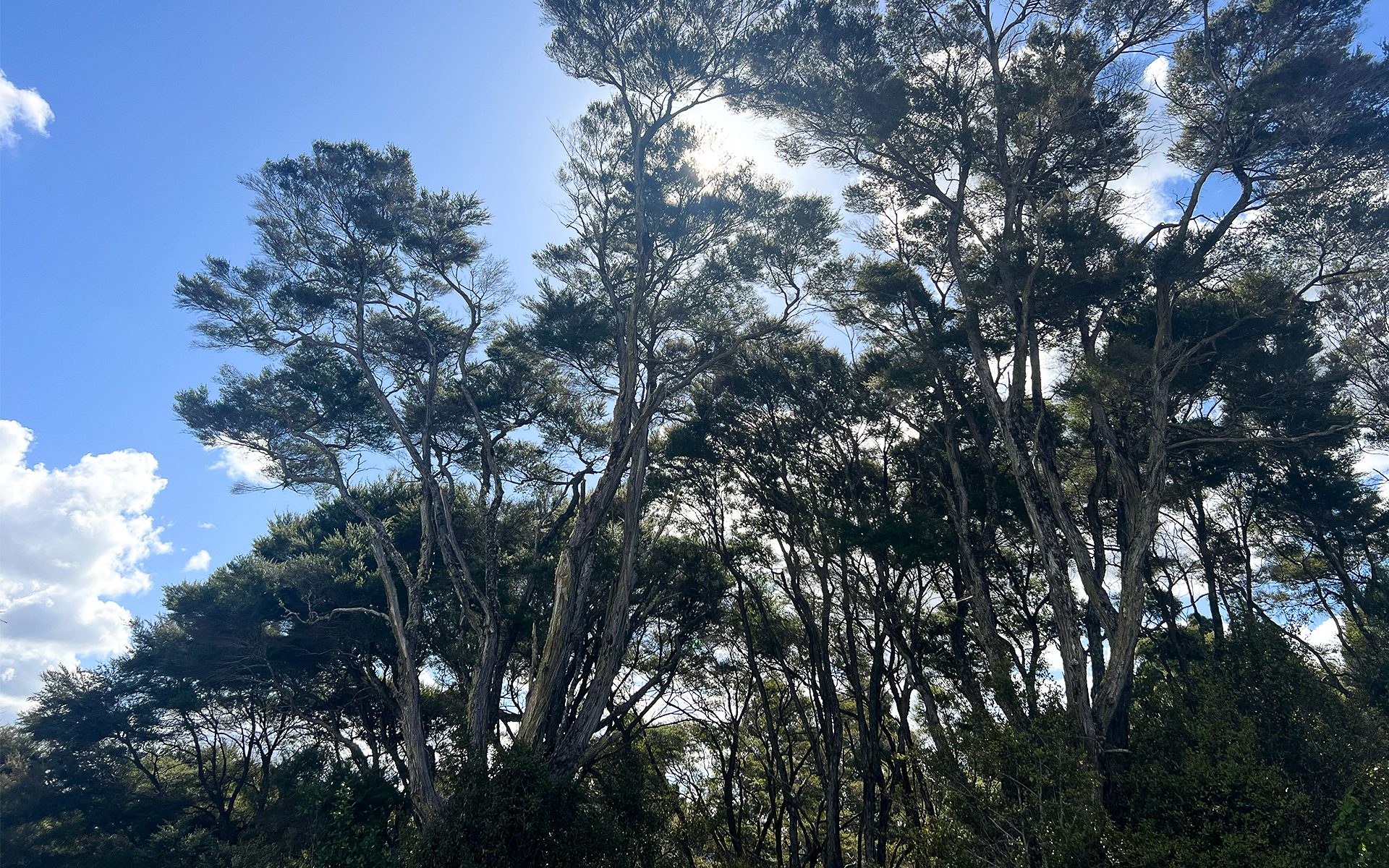 Private Bush Retreat – Rent-to-Buy! — slide 2