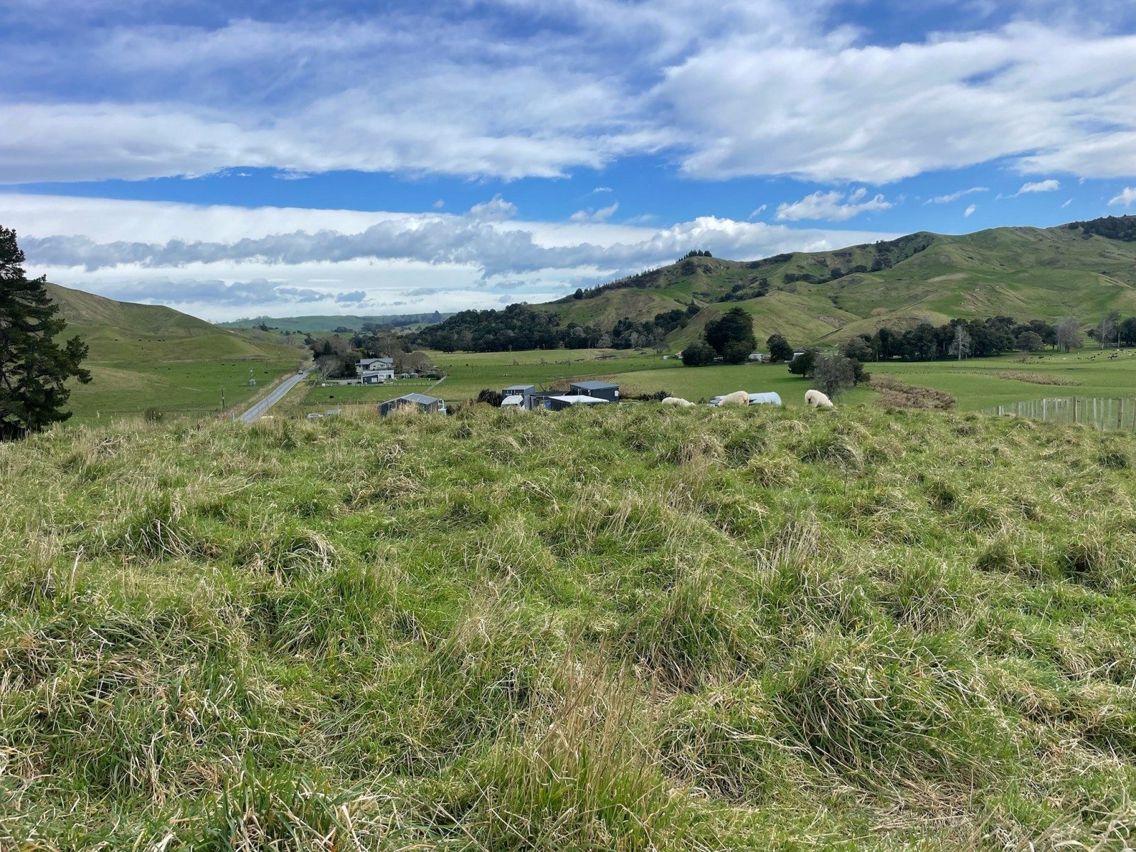 Price reduction, elevated rural lifestyle section — slide 11