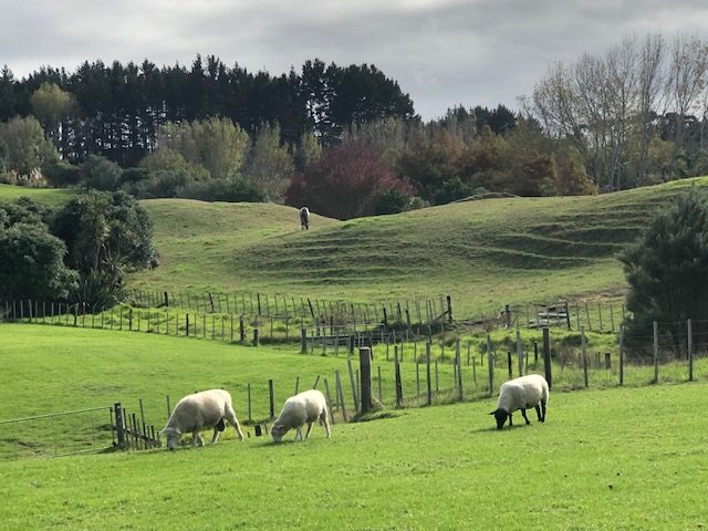 A Rare Lifestyle Sanctuary — slide 2