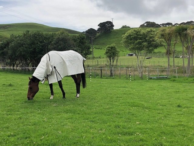 A Rare Lifestyle Sanctuary — slide 3