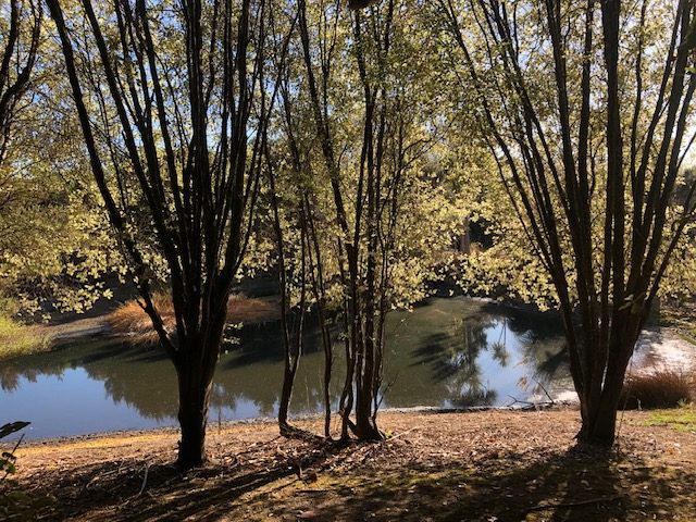 A Rare Lifestyle Sanctuary — slide 48