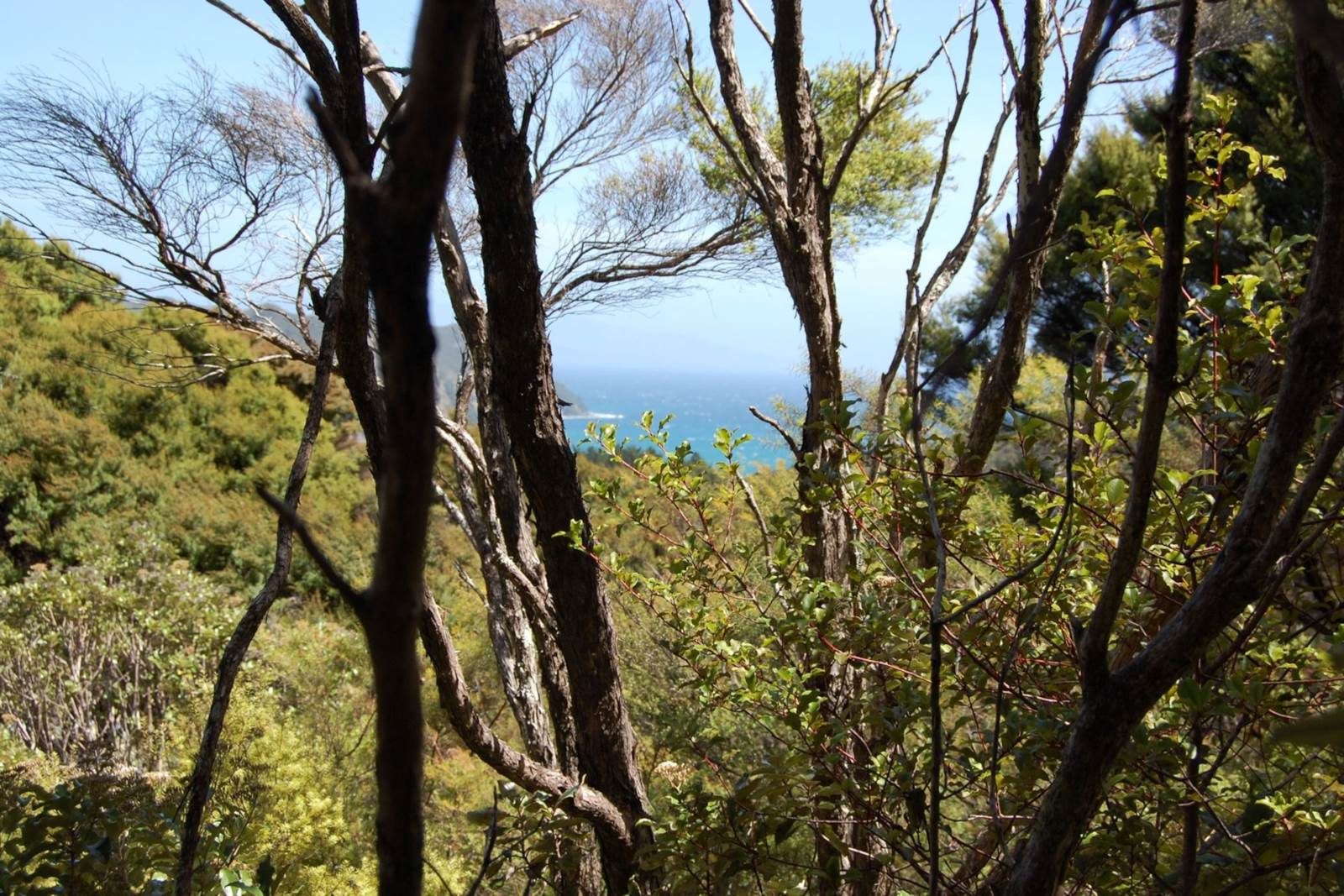 On Top of the World - Ridge-top Land with Plans — slide 2