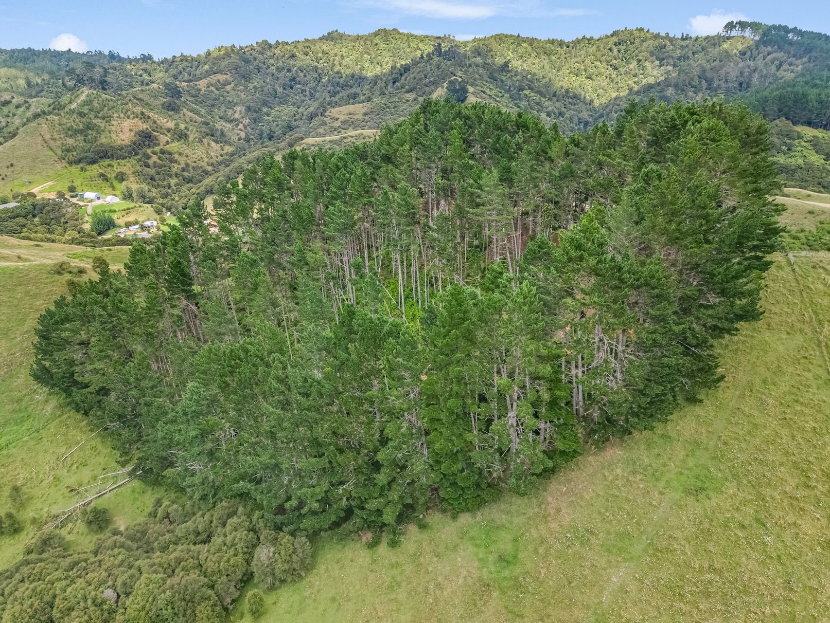 Private Retreat On 42 Acres — slide 25