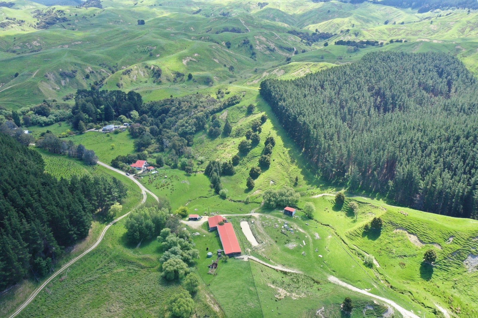 Breeding property with potential and scope — slide 47