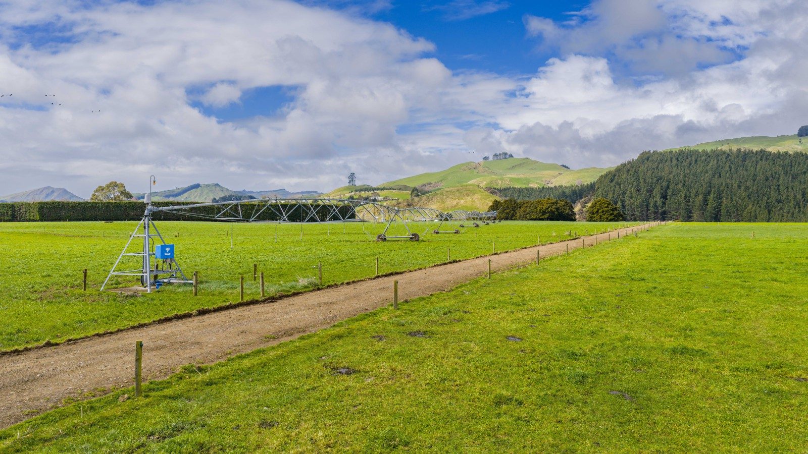 Premium Dairy Farm with purchase options — slide 28