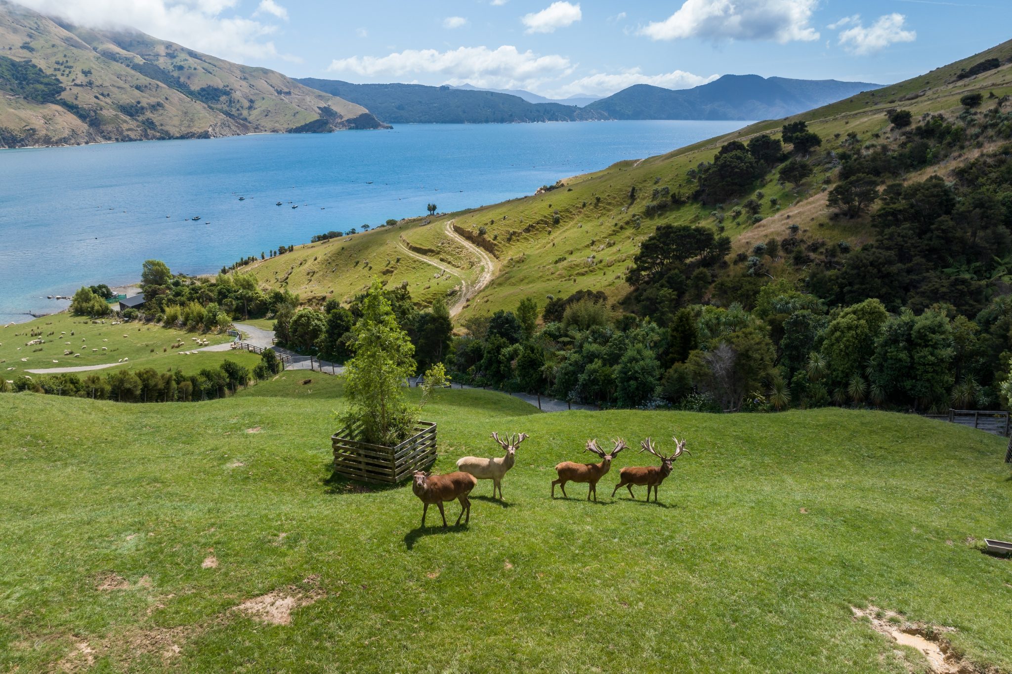 An Extraordinary Wilderness Estate on Cook Strait — slide 2