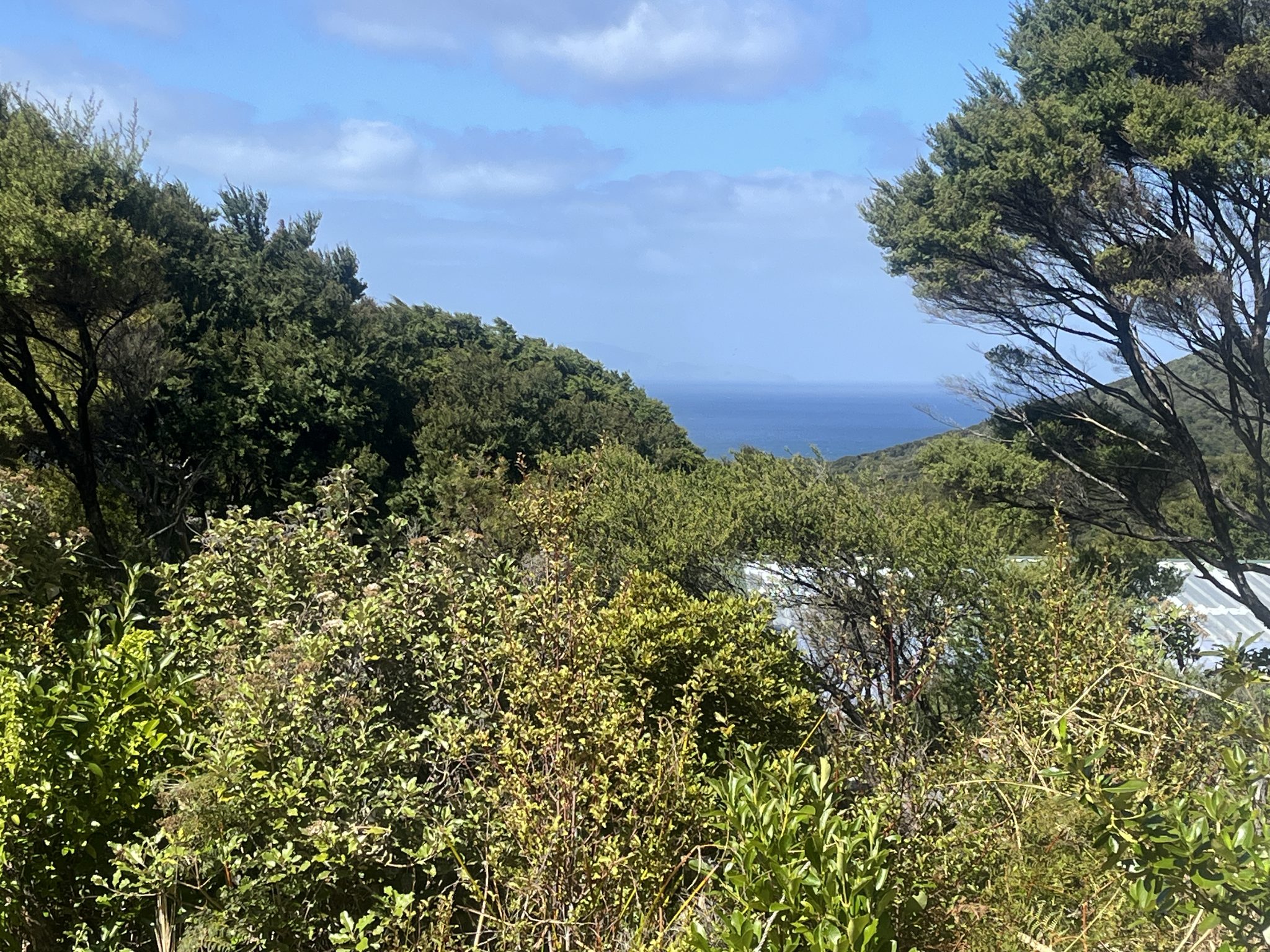On Top of the World - Ridge-top Land with Plans — slide 9