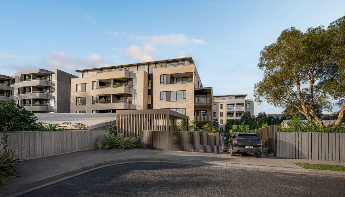 Rare by Design | Dova, Mt Eden — slide 1