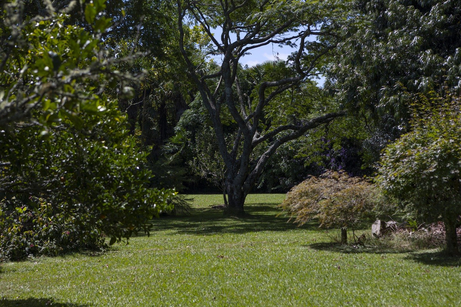 Peaceful Lifestyle Retreat Near Town — slide 2