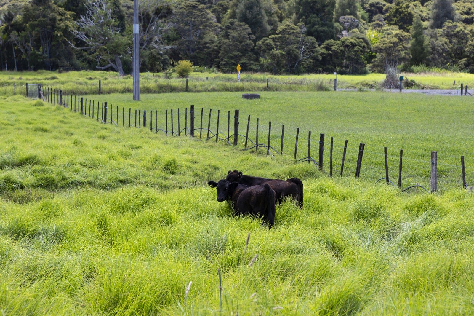 Peaceful Lifestyle Retreat Near Town — slide 34