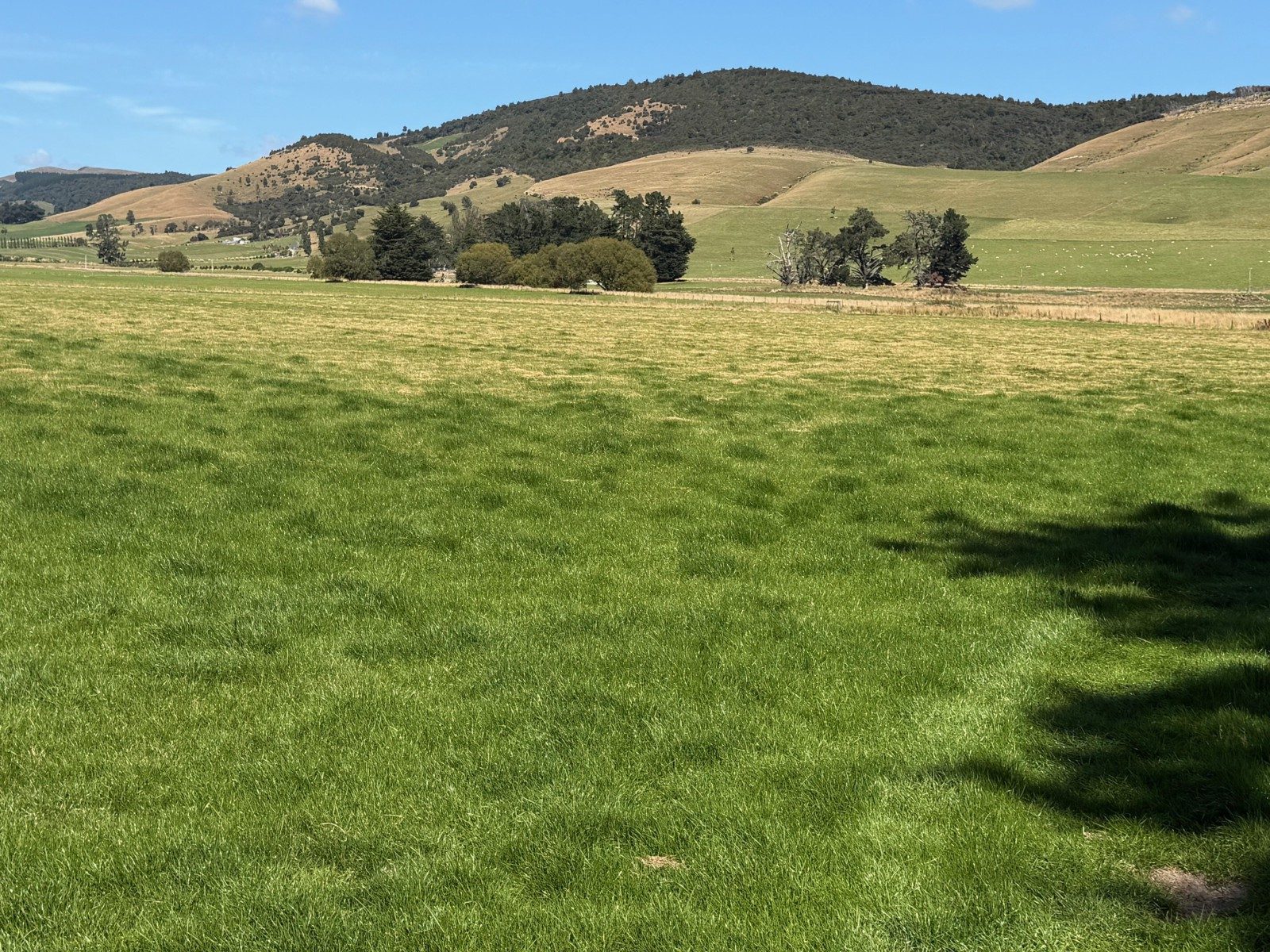 Grazing & Supplement Block — slide 8