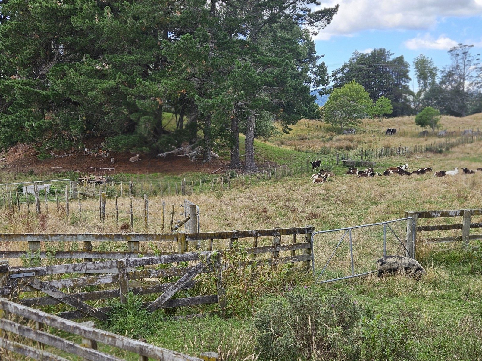 Five bedroom lifestyle with grazing and hunting — slide 27