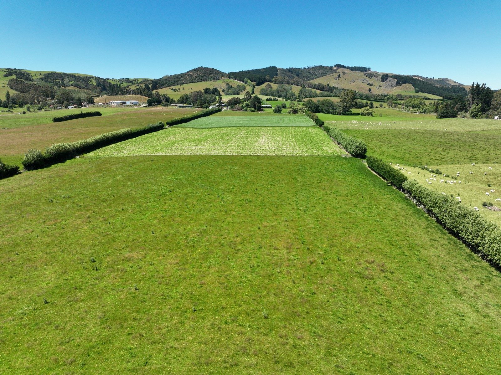 Fegan Farms — slide 2