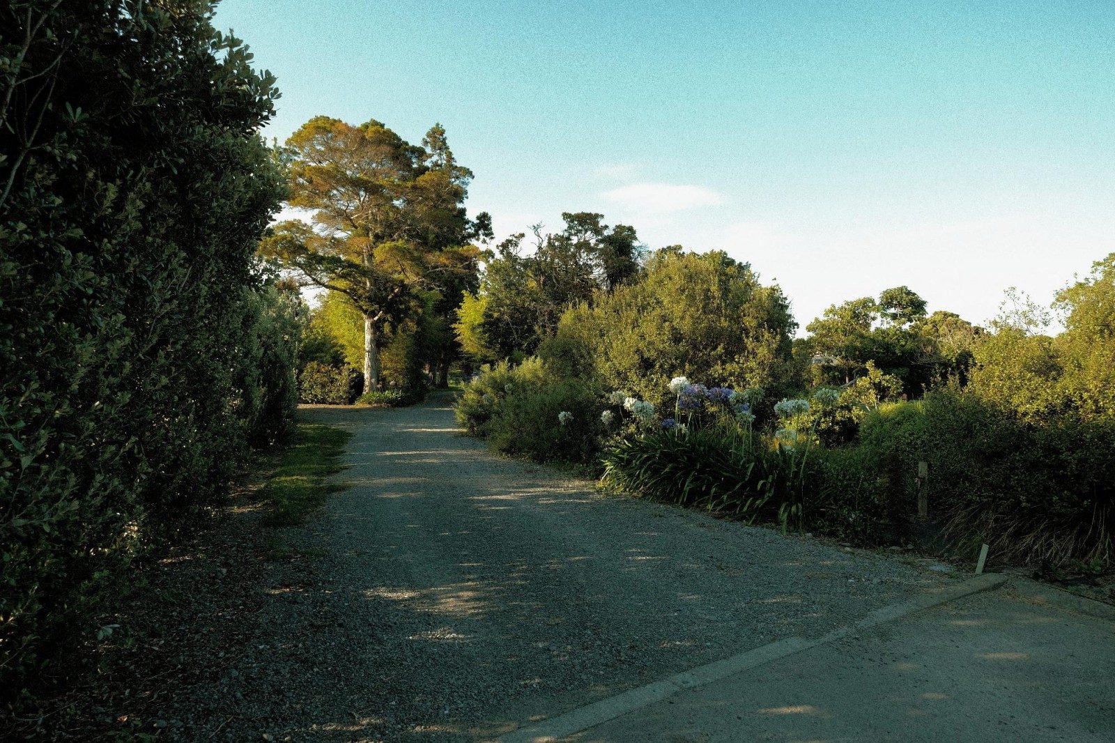 A Coastal Site with Architectural Legacy — slide 6