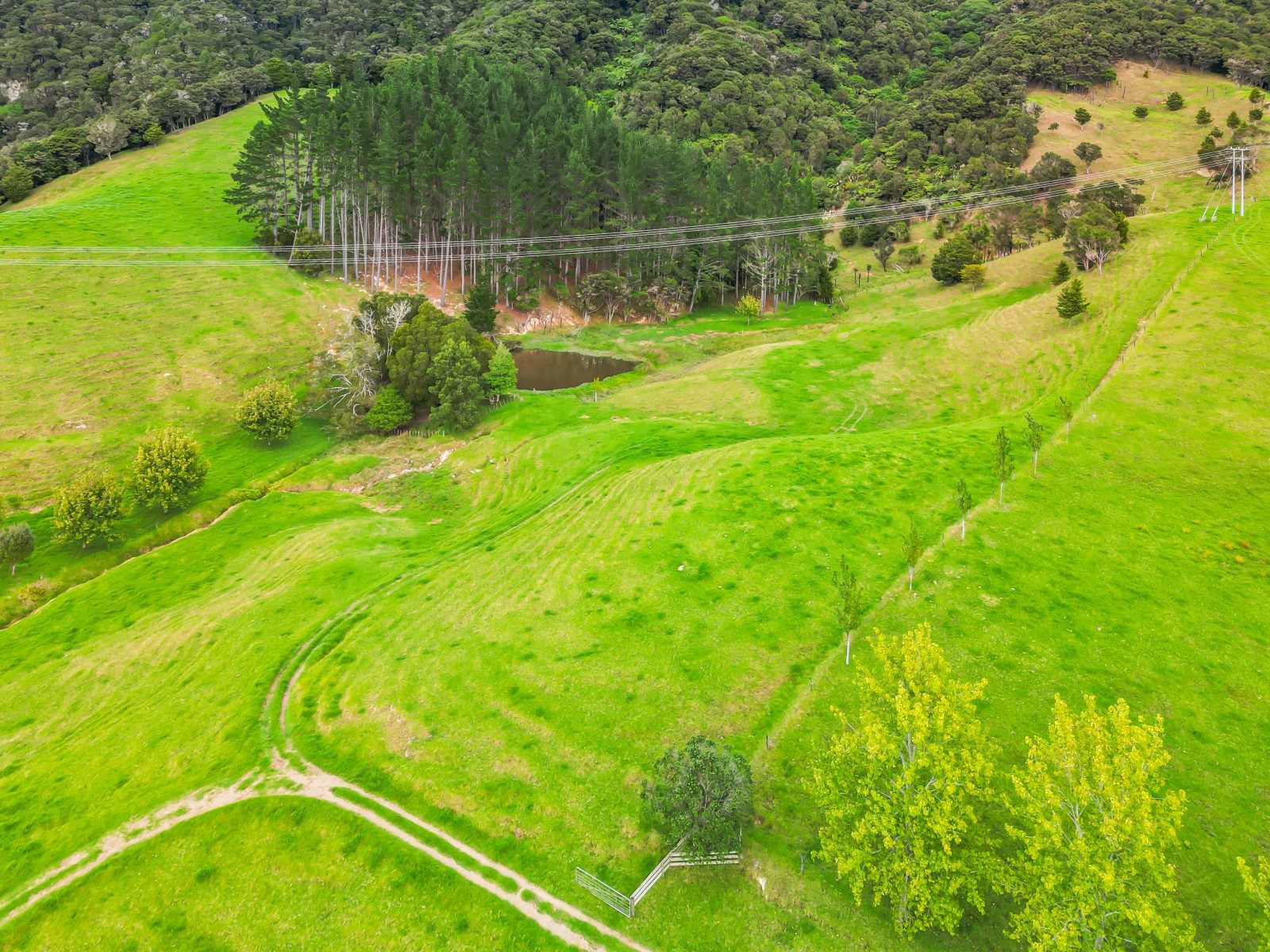 Lifestyle farm on the edge of town! — slide 31