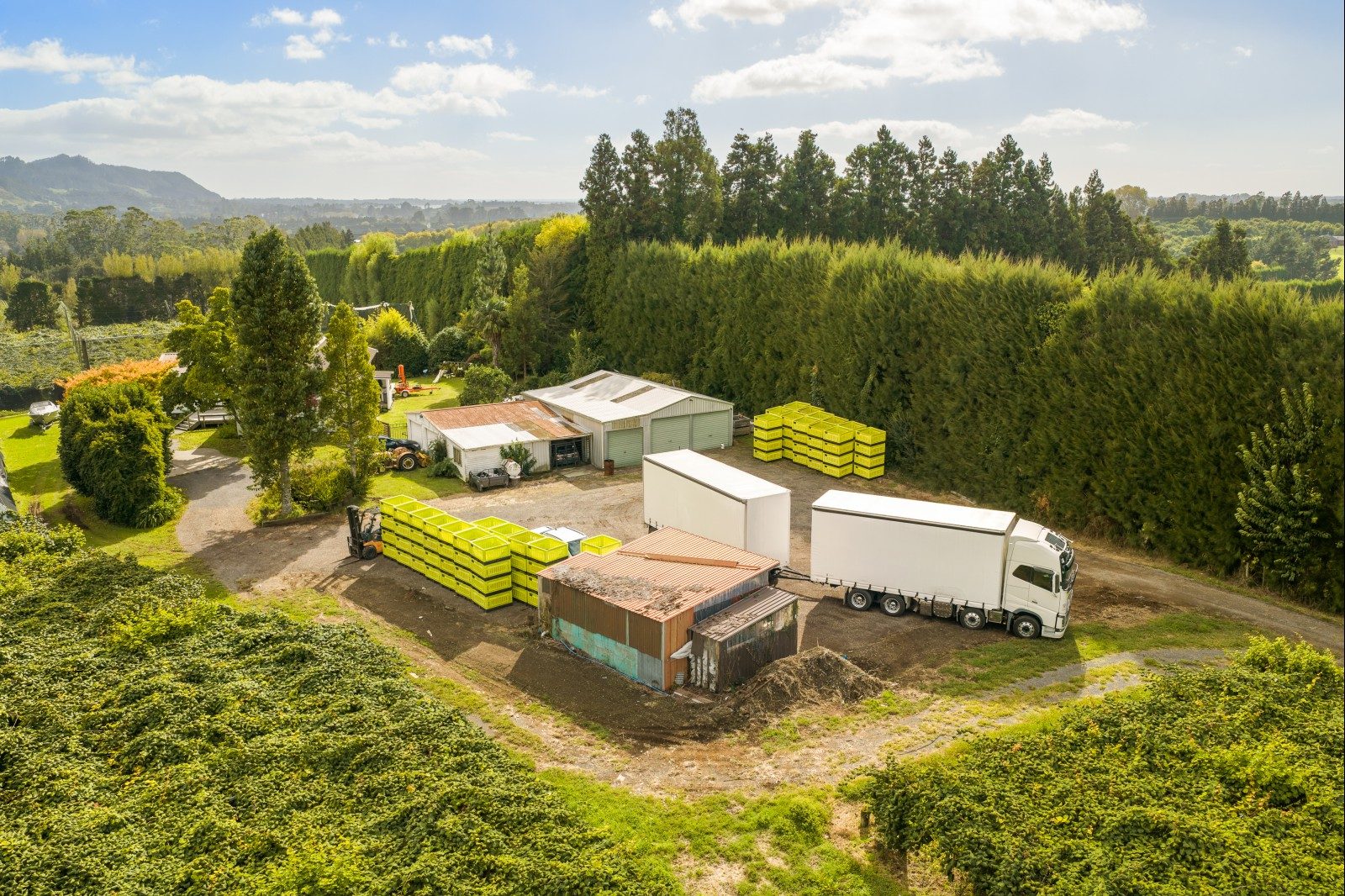 Gold Kiwifruit Opportunity — slide 7