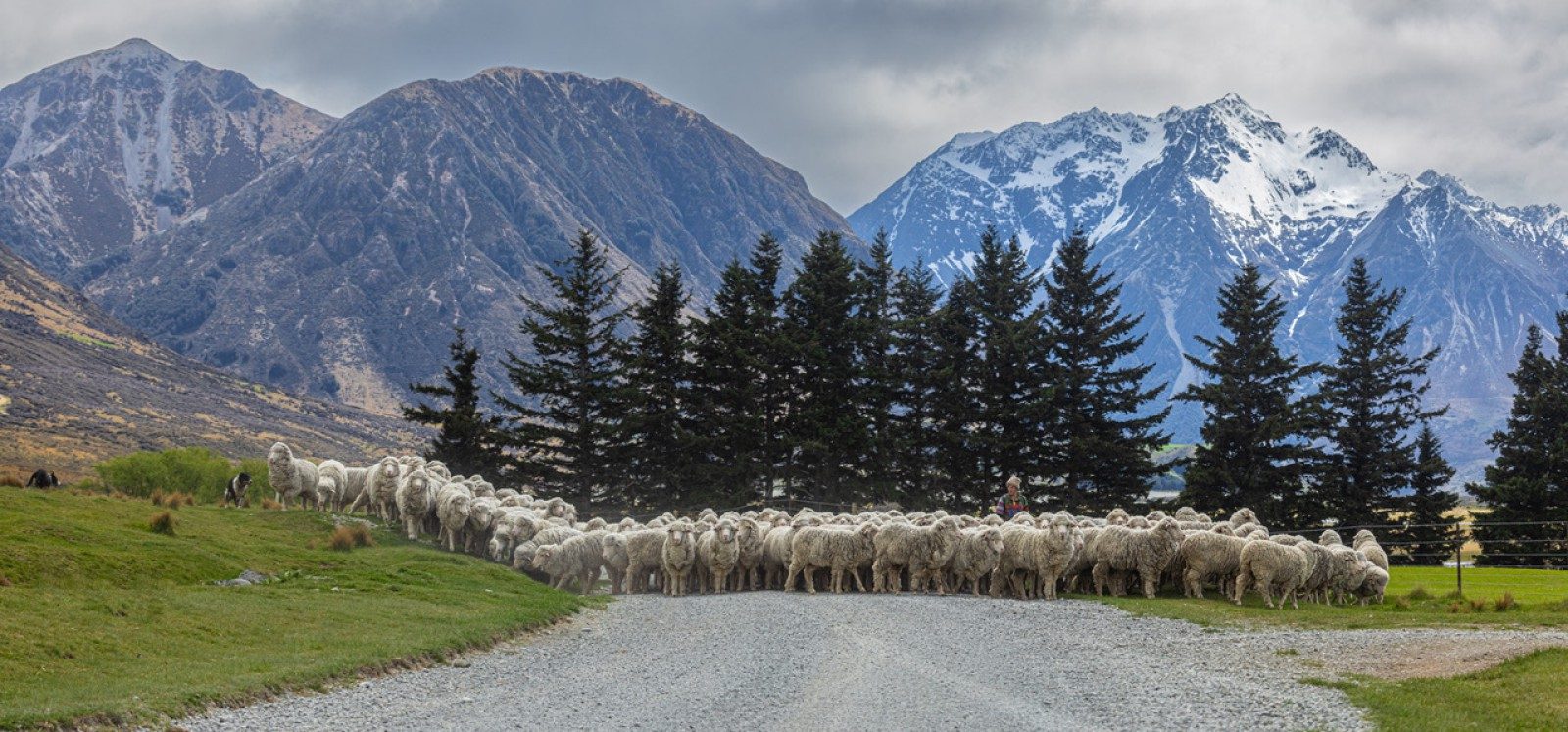 Lake Ohau Station — slide 36