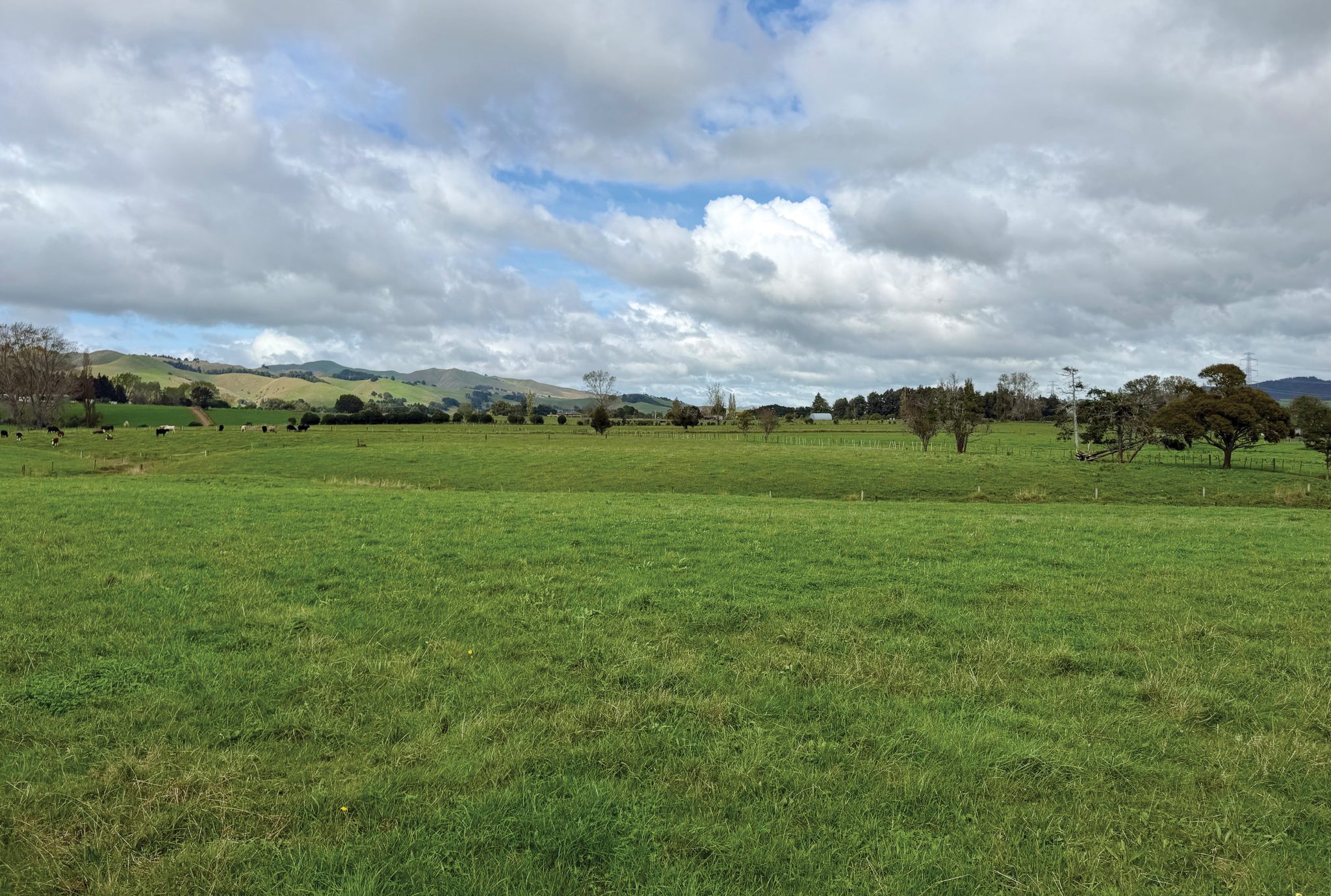 EASY & AFFORDABLE BUILDING LAND — slide 2