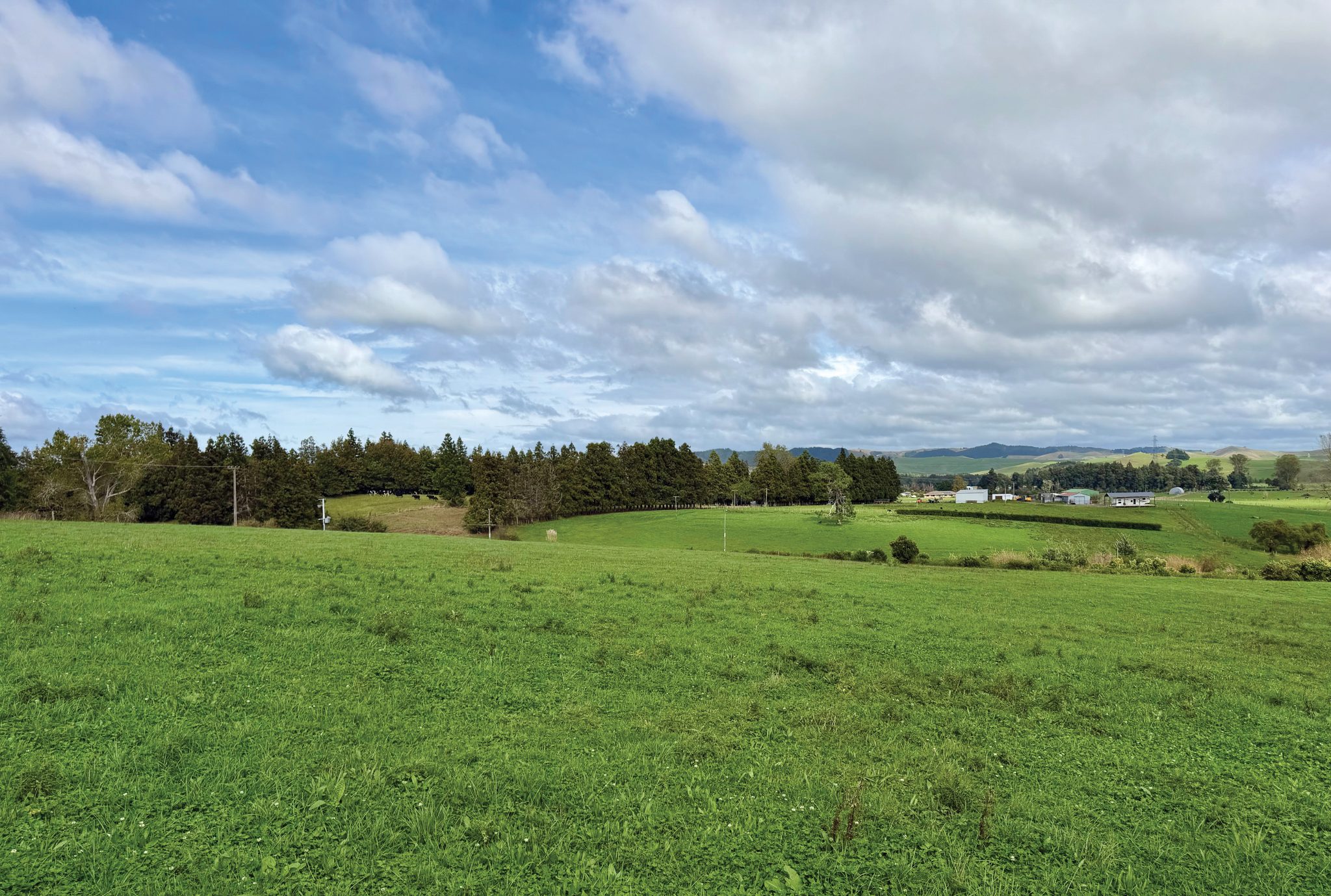 LUSH FERTILE LAND - 1.42HA — slide 1
