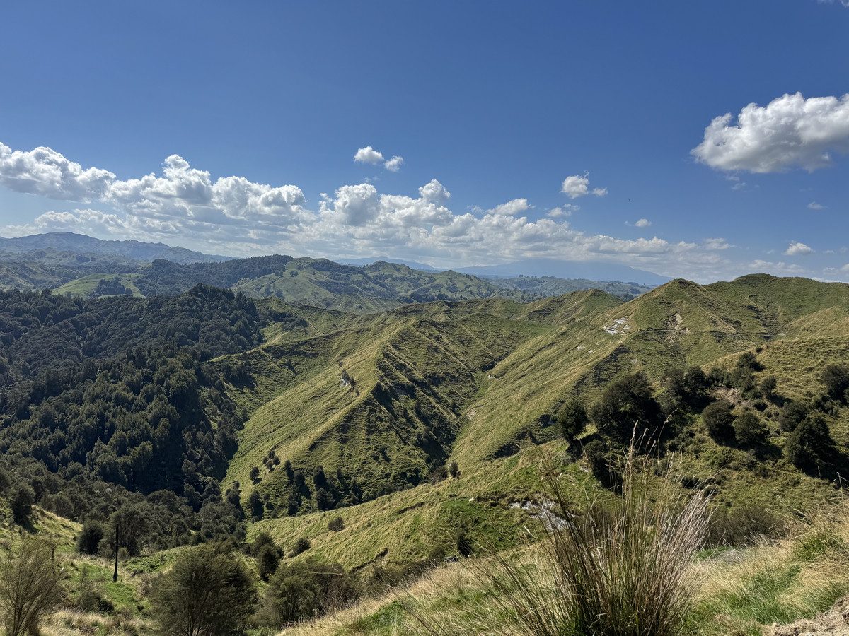 Ruakaka — slide 1