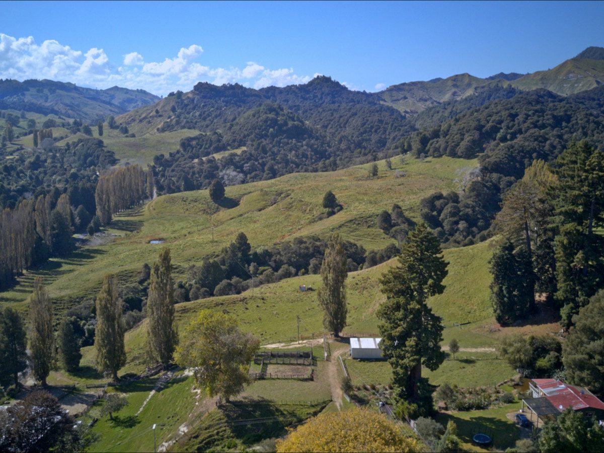Ruakaka — slide 8