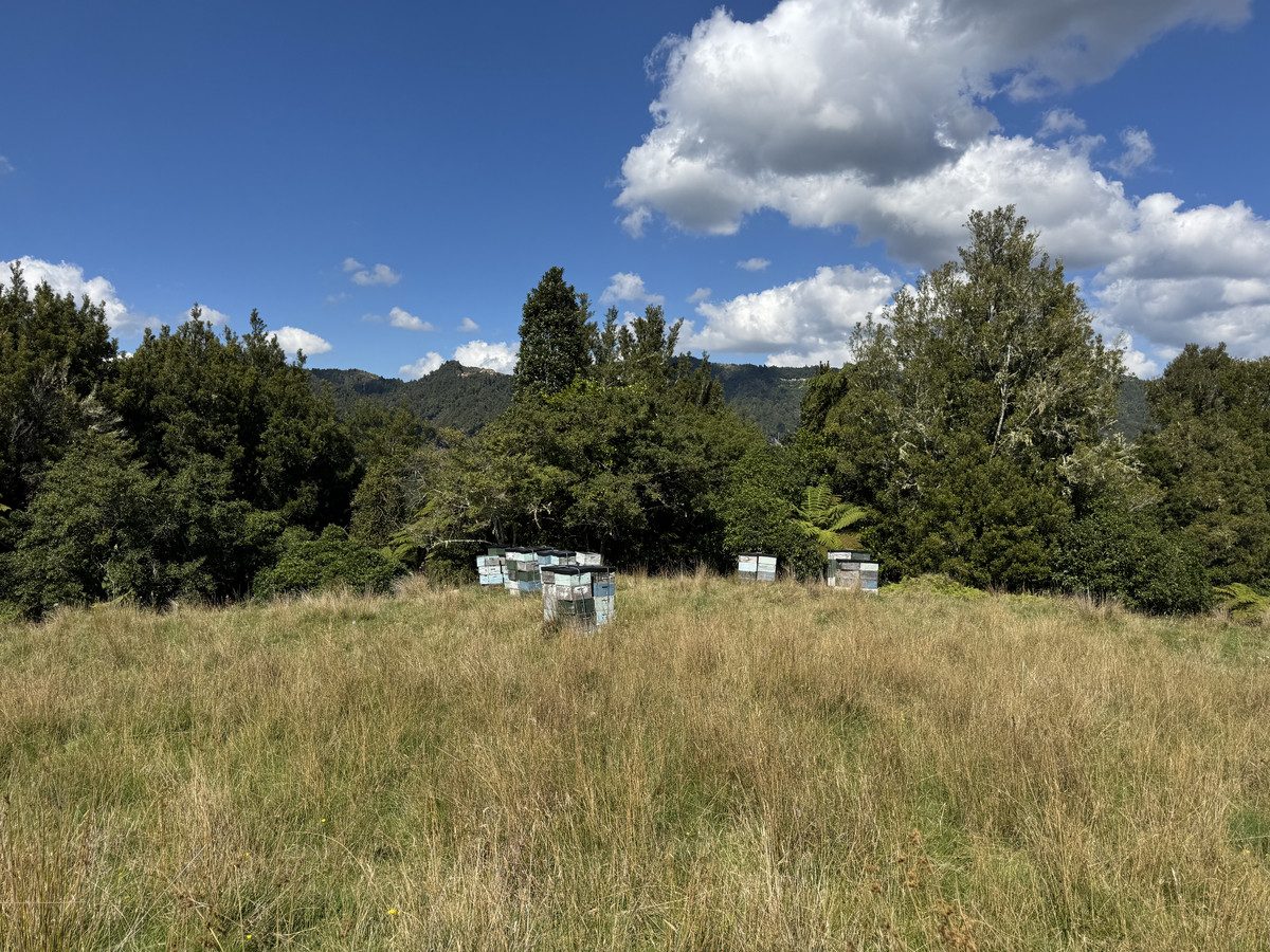 Ruakaka — slide 9