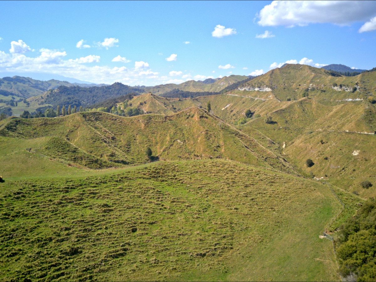 Ruakaka — slide 10