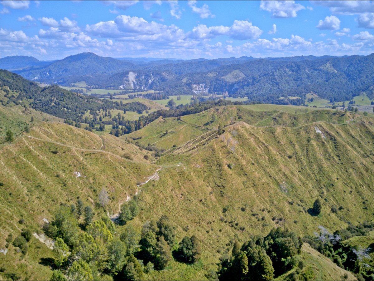 Ruakaka — slide 12