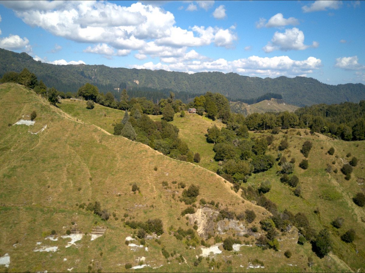 Ruakaka — slide 13