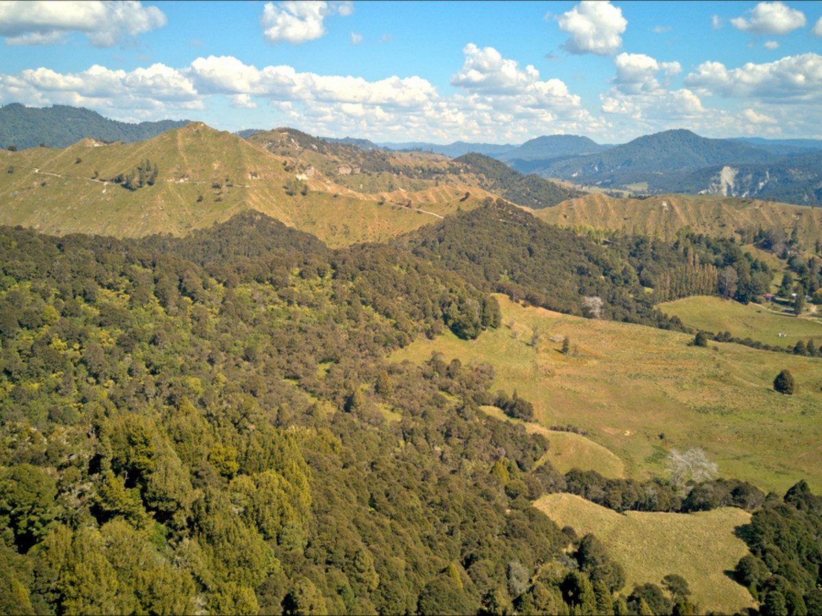 Ruakaka — slide 15
