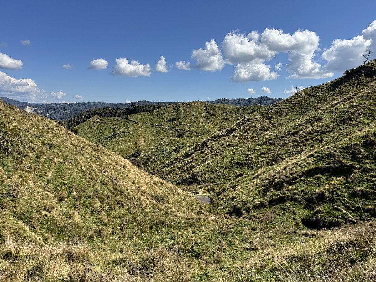 Ruakaka — slide 17