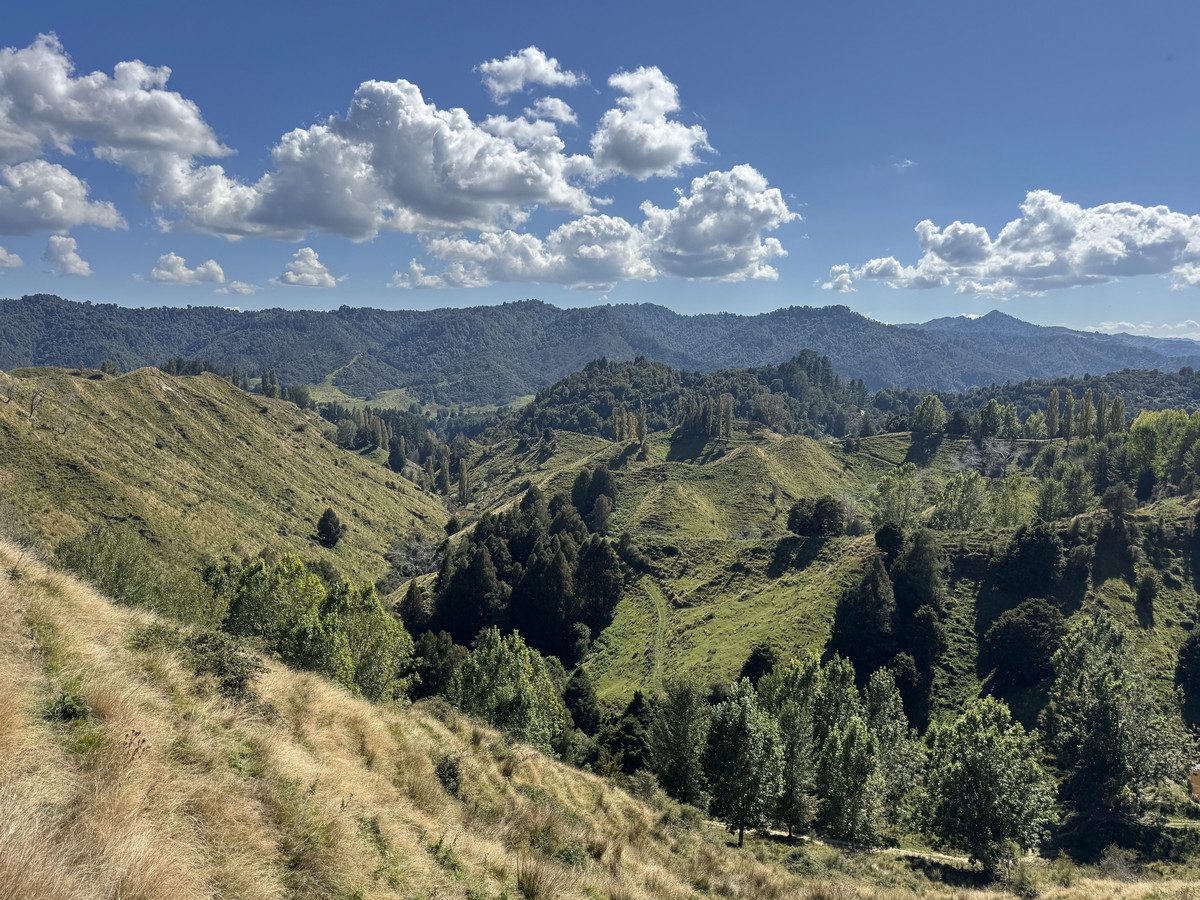 Ruakaka — slide 20