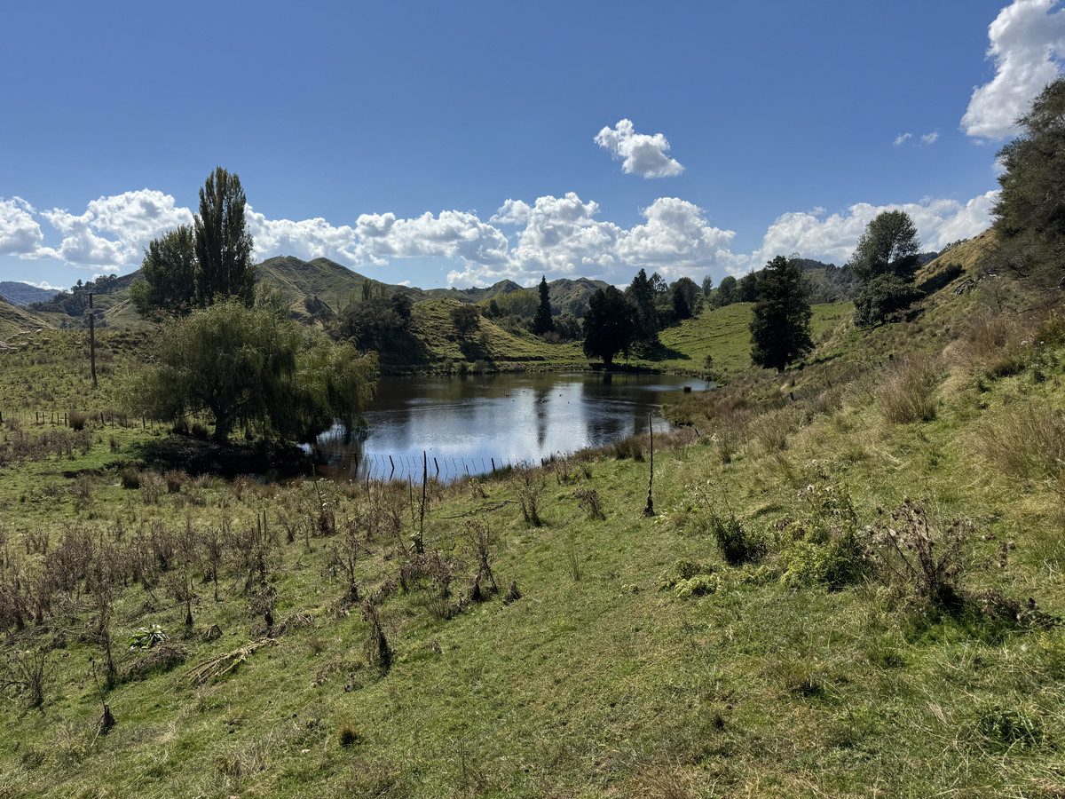 Ruakaka — slide 21