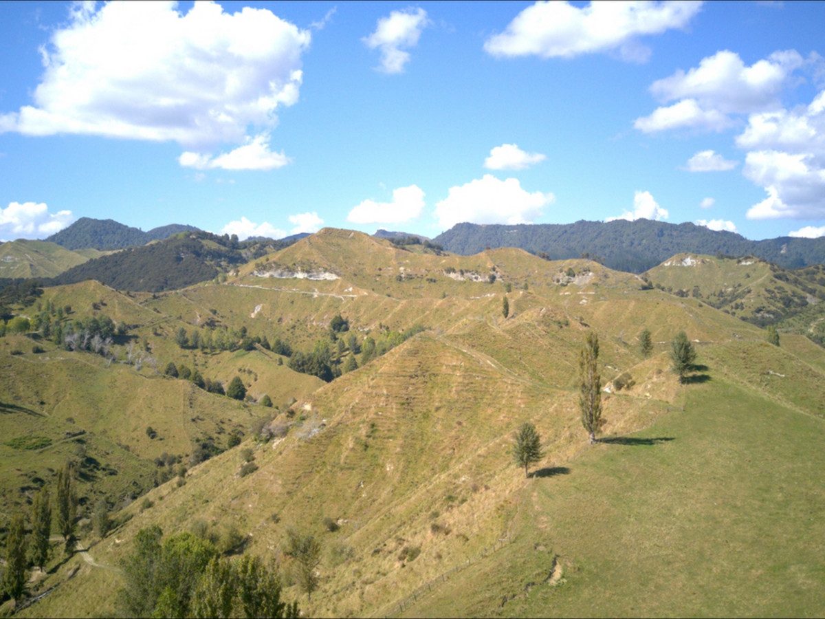 Ruakaka — slide 22