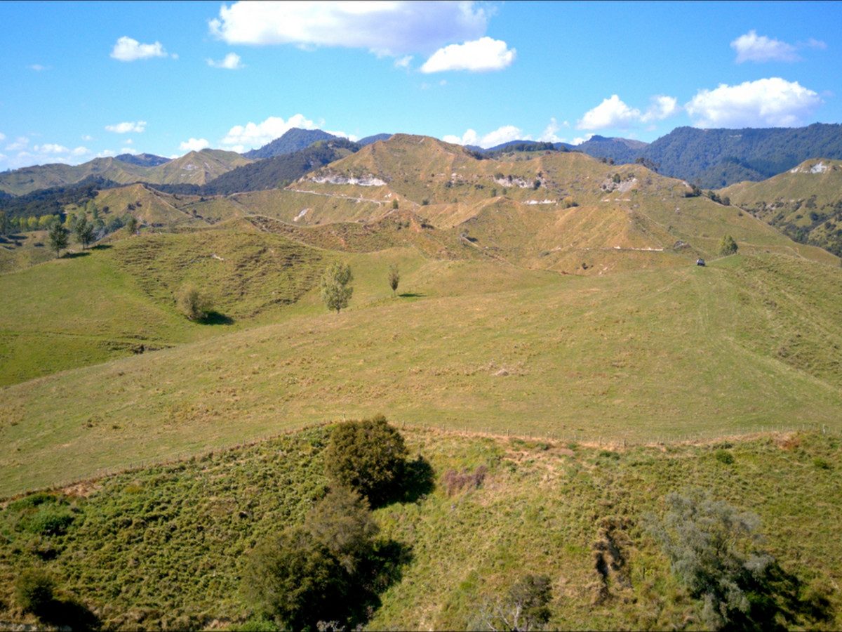 Ruakaka — slide 23