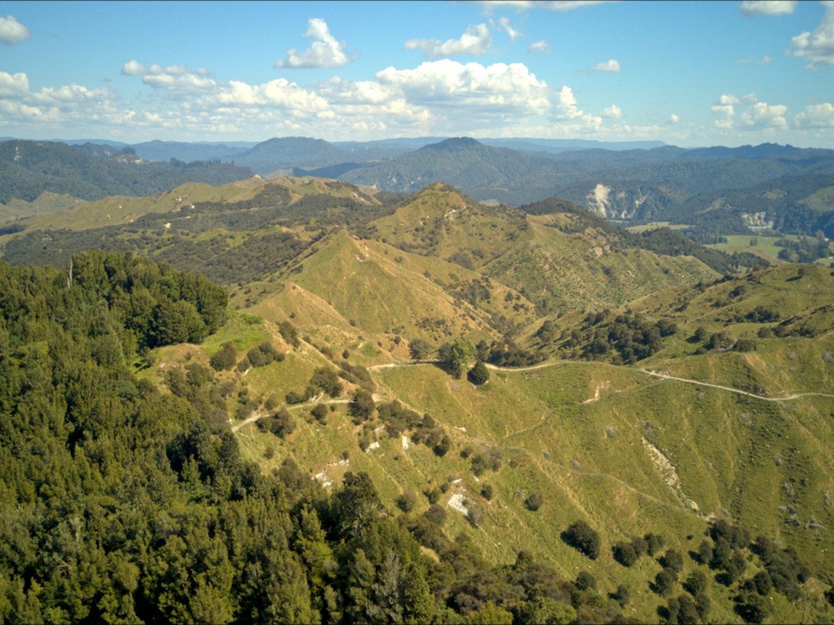 Ruakaka — slide 24